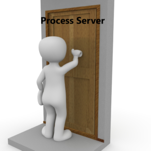 Process server in Totnes